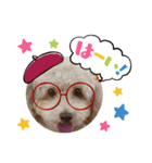 犬のワンワンすたんぷ（個別スタンプ：2）