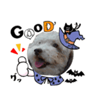 犬のワンワンすたんぷ（個別スタンプ：3）