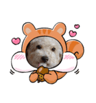 犬のワンワンすたんぷ（個別スタンプ：7）