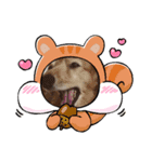 犬のワンワンすたんぷ（個別スタンプ：8）