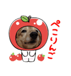 犬のワンワンすたんぷ（個別スタンプ：9）