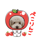 犬のワンワンすたんぷ（個別スタンプ：10）