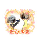 犬のワンワンすたんぷ（個別スタンプ：14）
