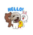 犬のワンワンすたんぷ（個別スタンプ：15）
