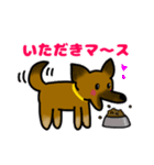 雑種犬ゆず(日常使い、イラストVer)（個別スタンプ：4）