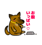 雑種犬ゆず(日常使い、イラストVer)（個別スタンプ：5）