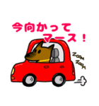 雑種犬ゆず(日常使い、イラストVer)（個別スタンプ：24）