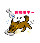 雑種犬ゆず(日常使い、イラストVer)（個別スタンプ：27）