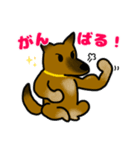 雑種犬ゆず(日常使い、イラストVer)（個別スタンプ：28）