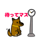 雑種犬ゆず(日常使い、イラストVer)（個別スタンプ：38）