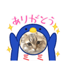 僕達、猫ら三兄弟！withミミ（個別スタンプ：19）