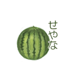 野菜～挨拶～（個別スタンプ：14）