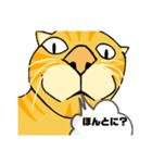 とらおちゃんの日常（アニメ風）（個別スタンプ：1）