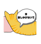 とらおちゃんの日常（アニメ風）（個別スタンプ：3）