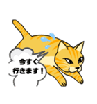 とらおちゃんの日常（アニメ風）（個別スタンプ：4）