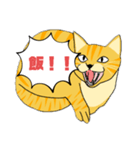とらおちゃんの日常（アニメ風）（個別スタンプ：5）