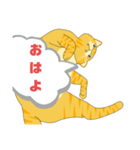 とらおちゃんの日常（アニメ風）（個別スタンプ：7）