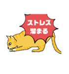 とらおちゃんの日常（アニメ風）（個別スタンプ：8）