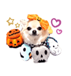 キキとララハロウィン（個別スタンプ：9）