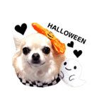 キキとララハロウィン（個別スタンプ：13）