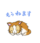 にゃことどーくん(日常生活)（個別スタンプ：28）