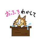 にゃことどーくん(日常生活)（個別スタンプ：33）