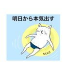 紙パン猫さん（個別スタンプ：16）