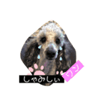 君にSmile（個別スタンプ：9）