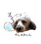 君にSmile（個別スタンプ：11）