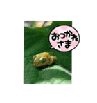君にSmile（個別スタンプ：21）