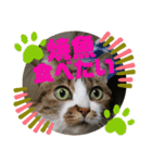 ナナエモン⑤秋っぽい（個別スタンプ：3）