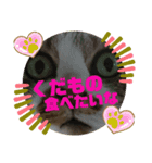 ナナエモン⑤秋っぽい（個別スタンプ：6）