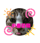 ナナエモン⑤秋っぽい（個別スタンプ：8）