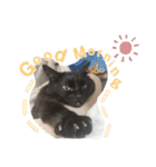 うち家ねこず（個別スタンプ：4）