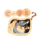 うち家ねこず（個別スタンプ：6）