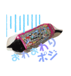 うち家ねこず（個別スタンプ：13）
