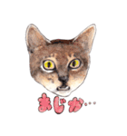 にくきゅーハイタッチ猫さんスタンプ（個別スタンプ：4）