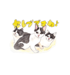 にくきゅーハイタッチ猫さんスタンプ（個別スタンプ：12）