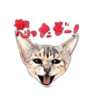 にくきゅーハイタッチ猫さんスタンプ（個別スタンプ：13）