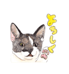 にくきゅーハイタッチ猫さんスタンプ（個別スタンプ：15）
