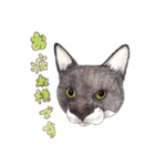 にくきゅーハイタッチ猫さんスタンプ（個別スタンプ：18）