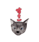 にくきゅーハイタッチ猫さんスタンプ（個別スタンプ：23）