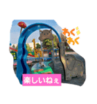 ぱぴぱぴパピヨン36（個別スタンプ：11）