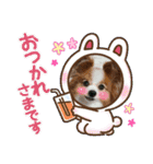ぱぴぱぴパピヨン36（個別スタンプ：22）