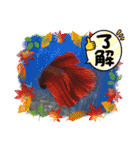 金魚の言葉1（個別スタンプ：18）