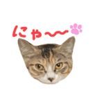 つんつくつくしんぼ（個別スタンプ：2）