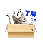 つんつくつくしんぼ（個別スタンプ：7）