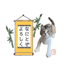 つんつくつくしんぼ（個別スタンプ：10）