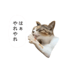 つんつくつくしんぼ（個別スタンプ：14）