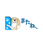 挨拶＆犬の省スペーススタンプ（個別スタンプ：18）